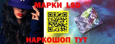 шишки Абакан