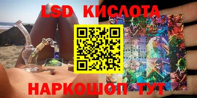 шишки Абакан