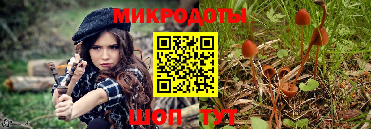 Абинск  Псилоцибиновые грибы Cubensis  Вход с VPN  Псилоцибиновые грибы ЛСД 